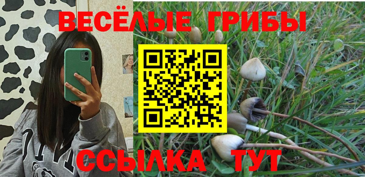 Галлюциногенные грибы мухоморы  Вход с VPN  Волхов 